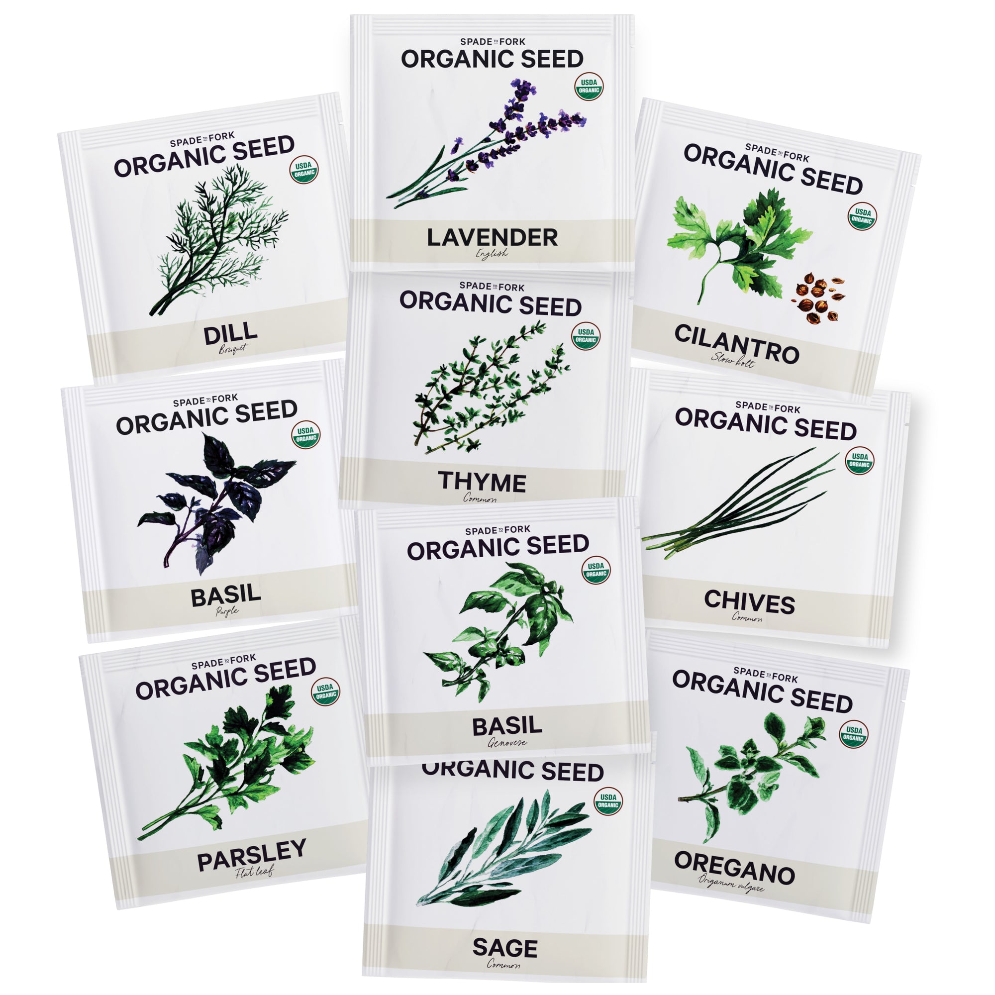 Organic Seed Collection - 10 Herb