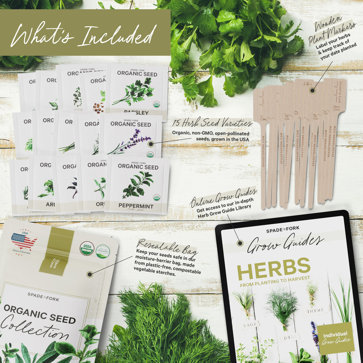 Organic Seed Collection - 15 Herb