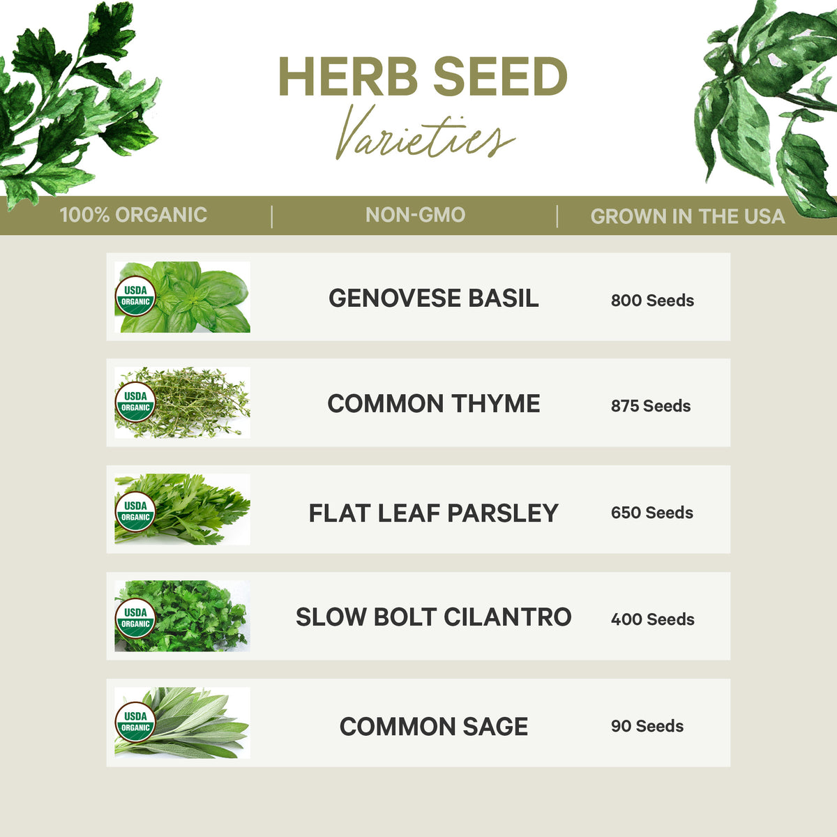 Organic Seed Collection - 5 Herb