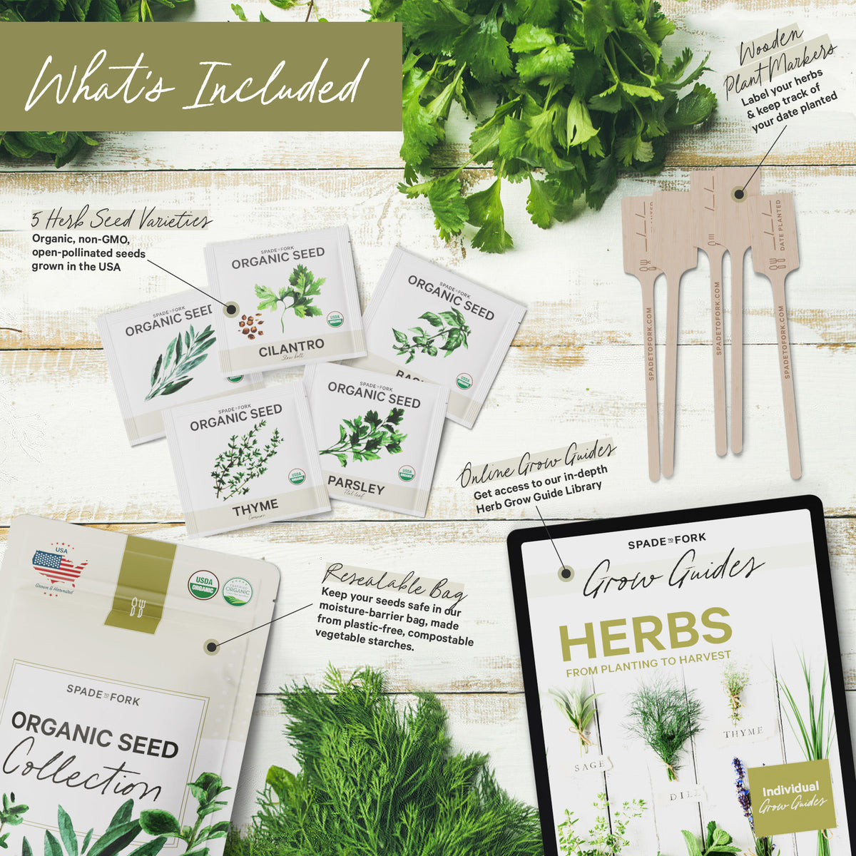 Organic Seed Collection - 5 Herb