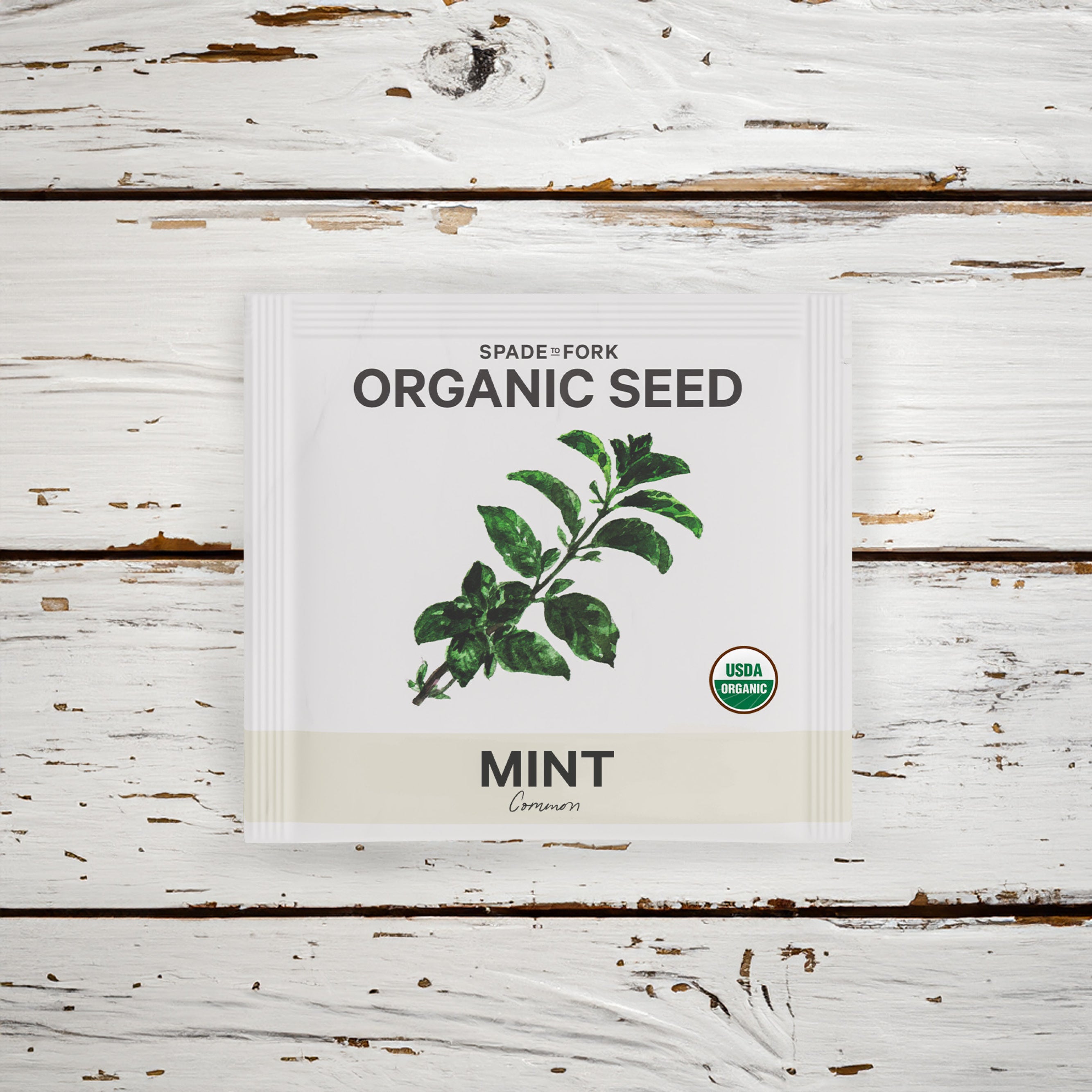mint seeds for planting Organic Common Mint