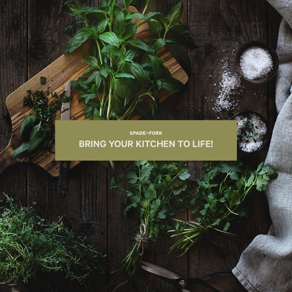 Complete Indoor Herb Garden Kit Organic, NonGMO Seeds with Pots