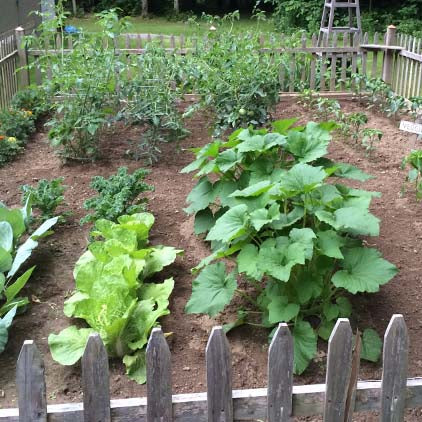 Starting a Garden Plot