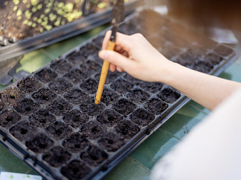 February Gardening Checklist (By Growing Zone)