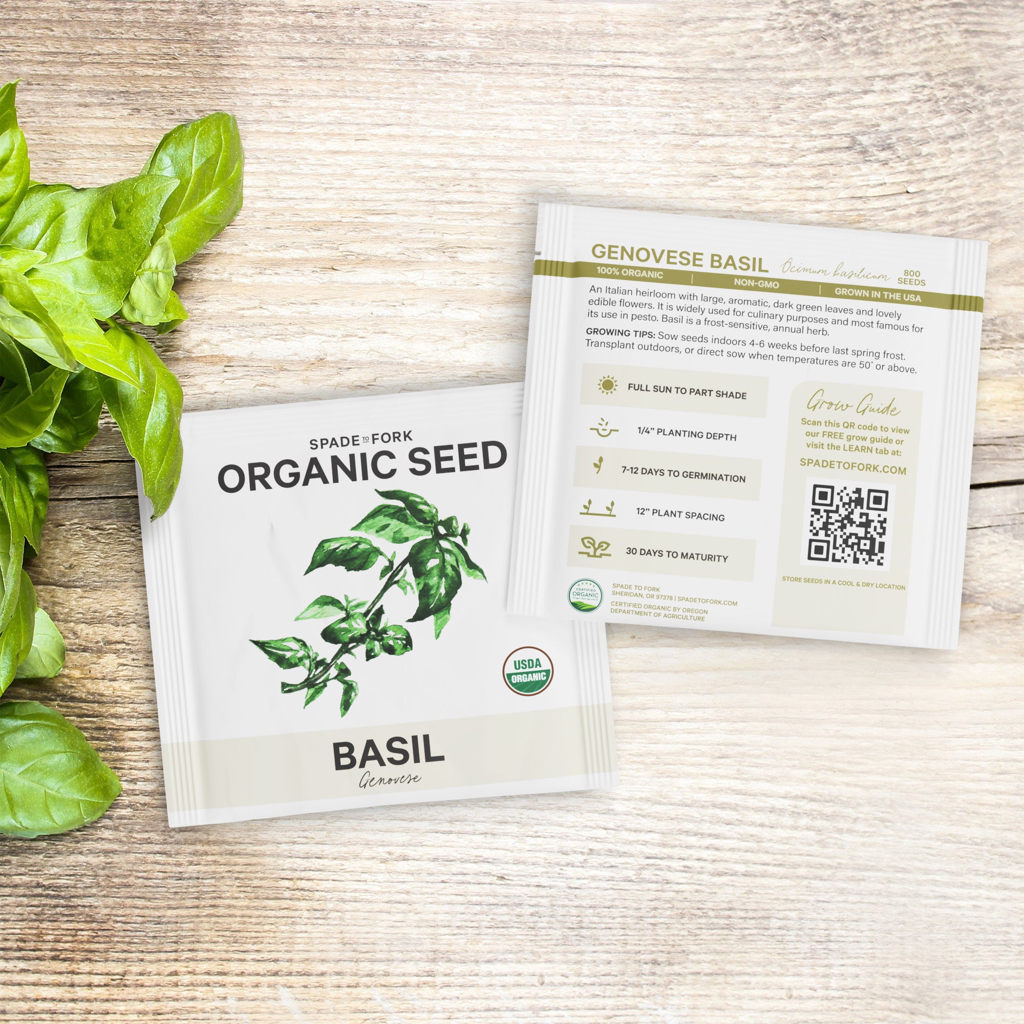 organic basil seeds for planting Organic Genovese Basil