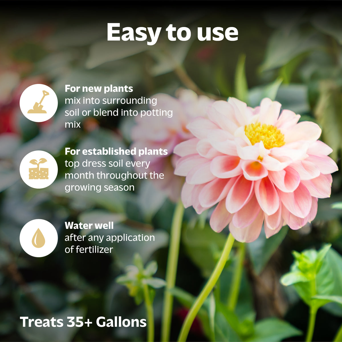 Organic Fruit &amp; Flower Fertilizer