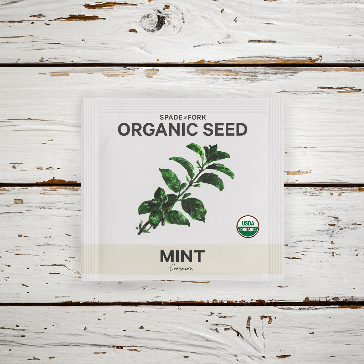 Organic Common Mint