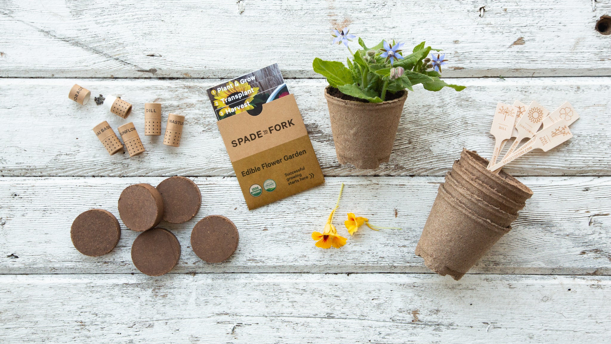 edible plant seeds Organic Edible Flower Garden Seed Kit