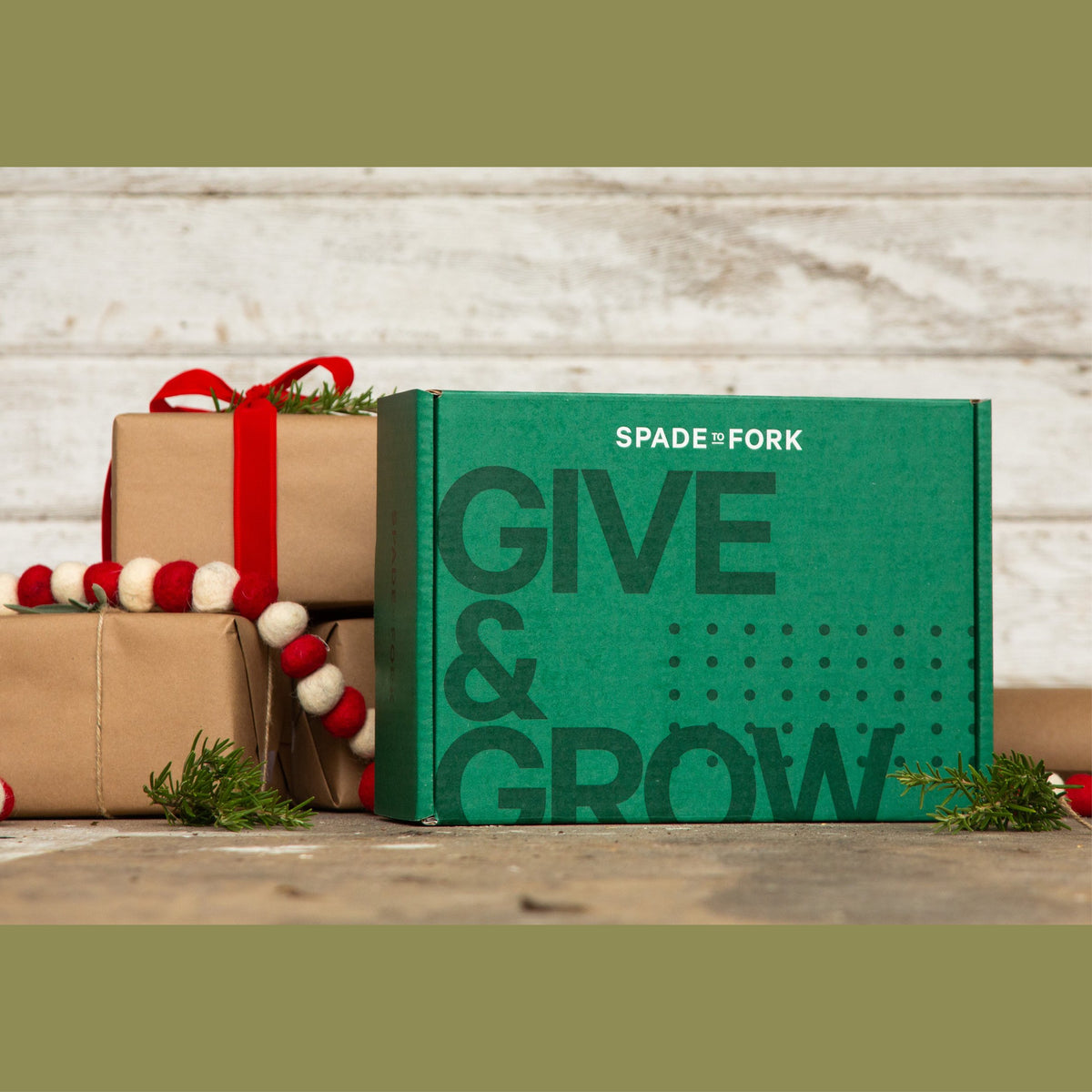 Gift Box Set - Culinary Herbs Kit + Starter &amp; Transplanter Fertilizer