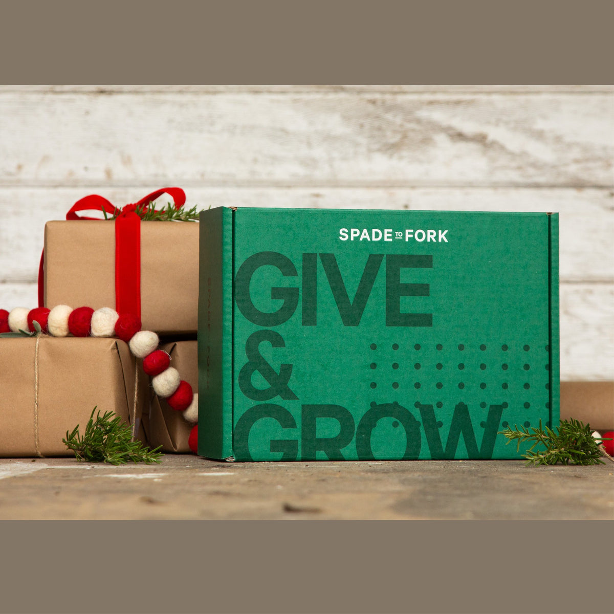 Gift Box Set - Vegetable Garden Kit + All Purpose Fertilizer