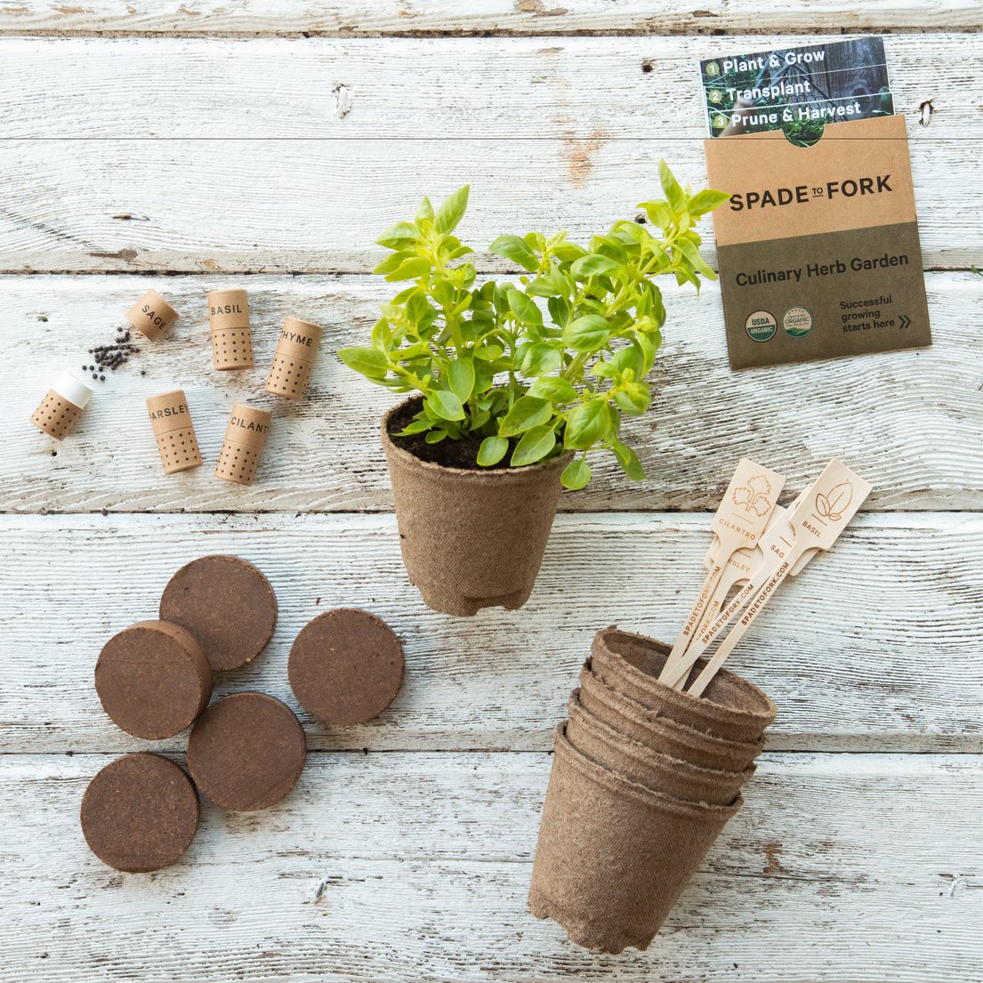 Gift Box Set - Culinary Herbs Kit + Starter &amp; Transplanter Fertilizer