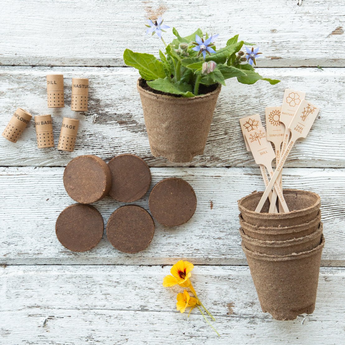 edible plant pots Organic Edible Flower Garden Seed Kit