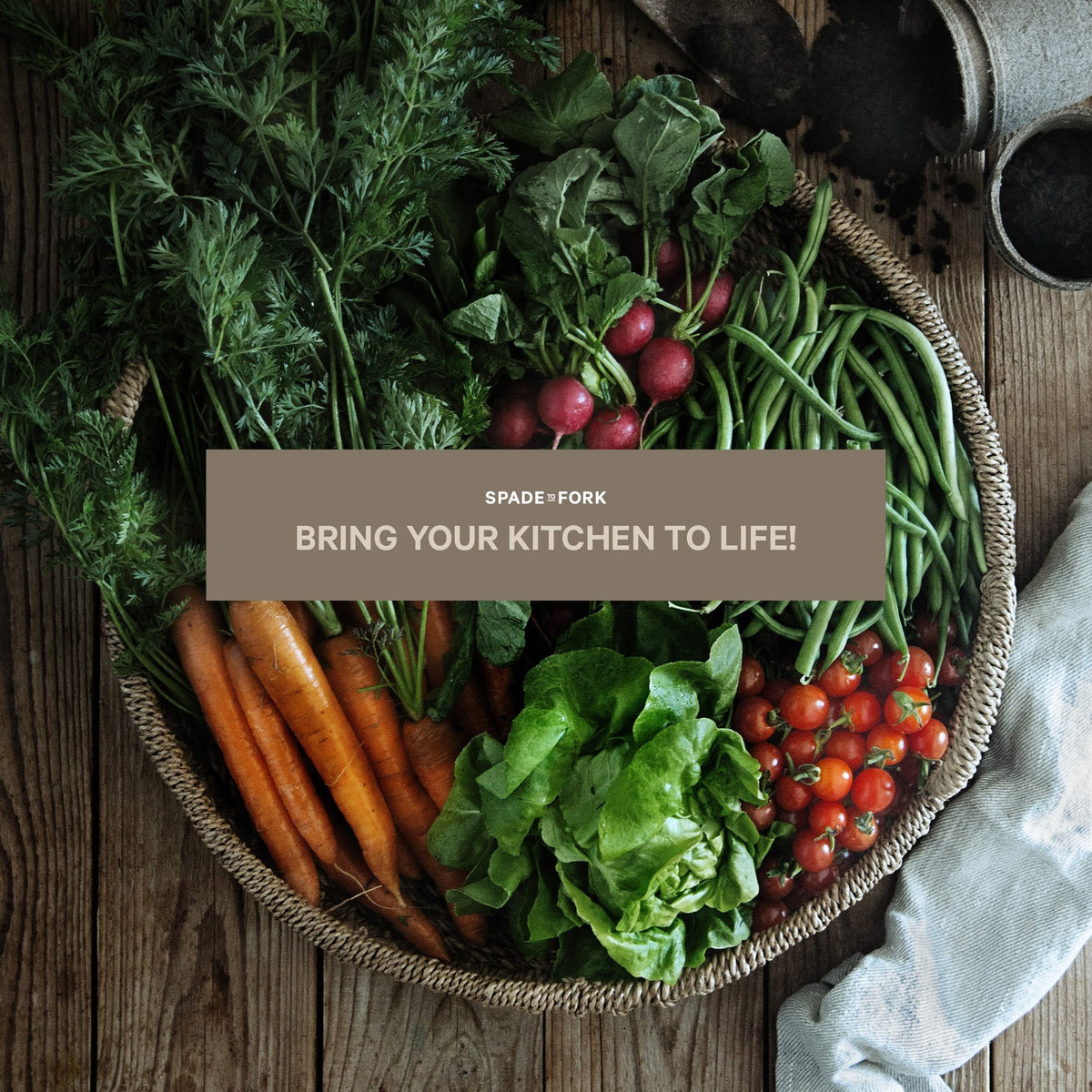 Vegetable Garden Growing Kit